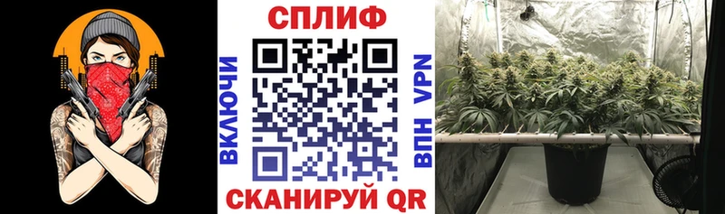 Купить наркотики Дмитровск Конопля А ПВП Амфетамин МЕФ Галлюциногенные грибы ГАШ