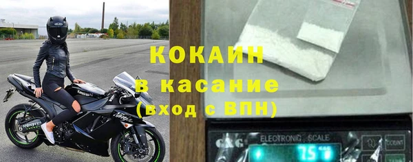 стаф Абаза