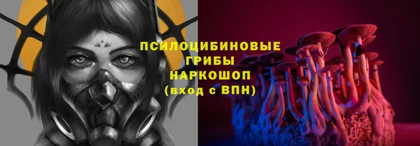 прущий лед Алзамай