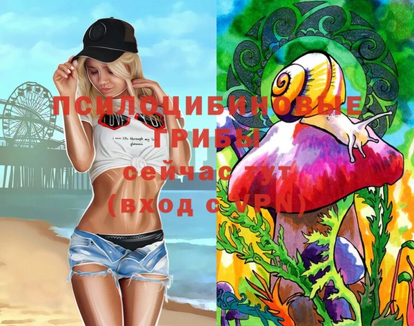 спиды Алексин