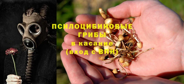 прущий лед Алзамай