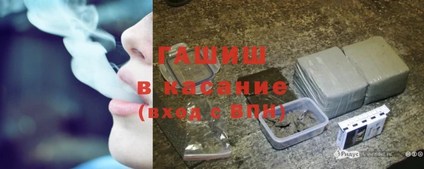 стаф Абаза