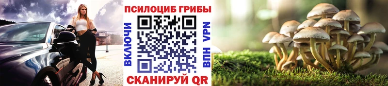 где продают наркотики Дмитровск Псилоцибиновые грибы MAGIC MUSHROOMS